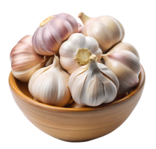 Garlic