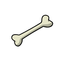 Bone Building