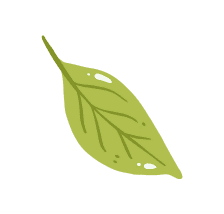 Nettle Leaf
