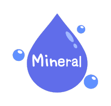 Mineral Absorption